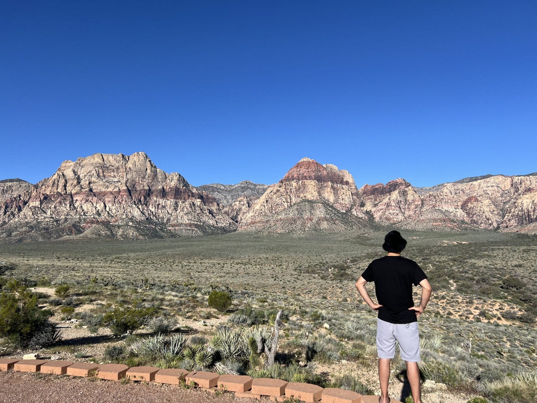 John looking toward the mountains at Red Rock Canyon