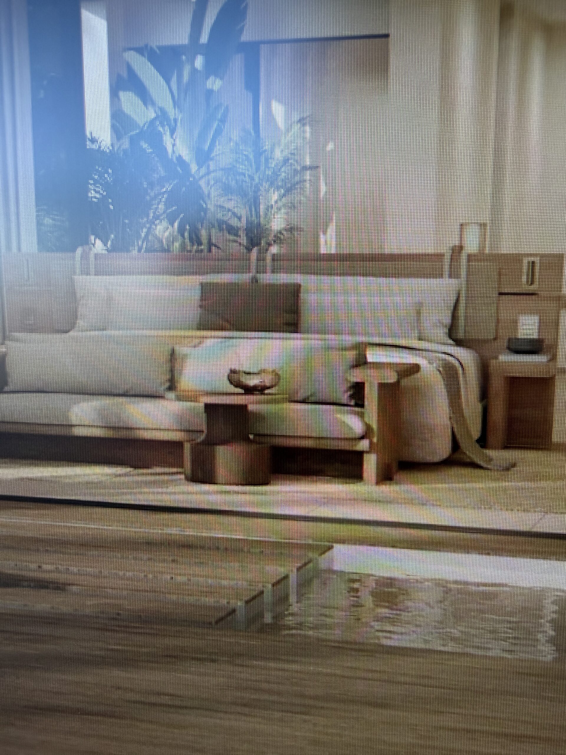 Hyatt Hotel Point Maximizing and a $1,600/night suite